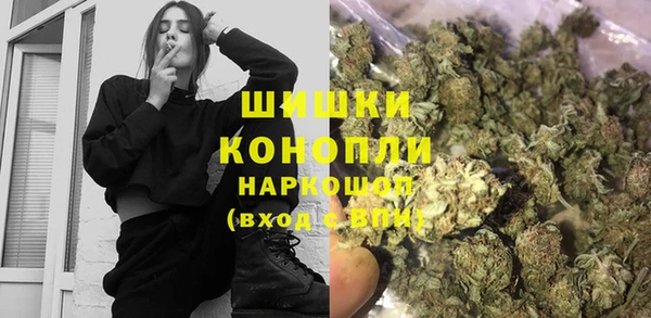 молекула духа Дмитровск