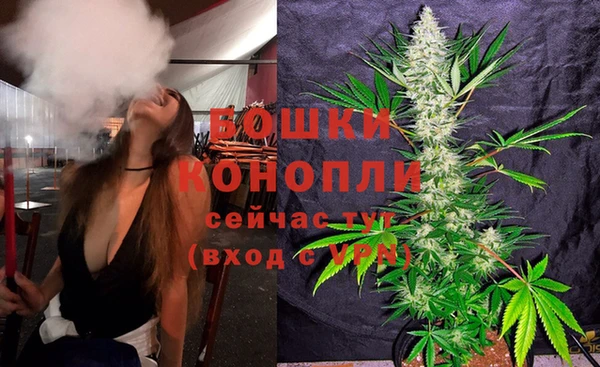 ALPHA PVP Дмитриев